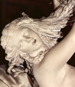 Apollon et Daphné, détail de la tête de Daphné, 1622-25 (détail)